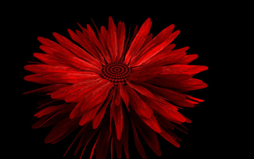 1133706 (a): :2560x1600